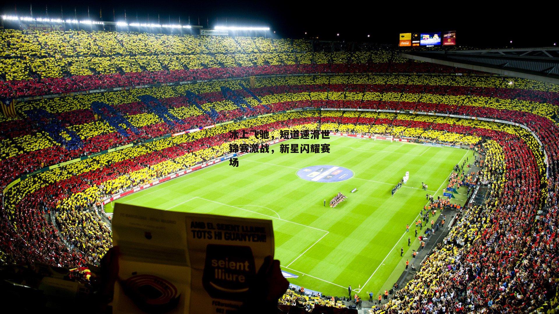 冰上飞驰,短道速滑世锦赛激战,新星闪耀赛场